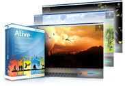 Biofeedback Games for Stress Reduction